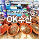 궁평항 펜션 갈 때 화성 사강시장 OK 수산에서 꽃게 구입한 후기