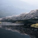 산을닮은집
