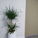 검단청소년센터(5) 이미지