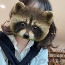 그루밍 멈머 | [일기] 10-1