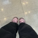 살롱MAY | 2026 Montly.May_부디