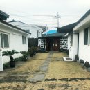 폭낭 올레집 이미지