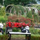 곡성-221 이미지