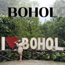 필리핀 보홀 여행 추천 | 보홀 육상투어 로복강 선상 뷔페 코스 후기