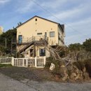 바언제주(바람의언덕) 이미지