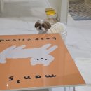 안녕 댕댕아 | 경기양평 애견동반 독채펜션 ㅣ 댕댕별숲 A동 솔직후기