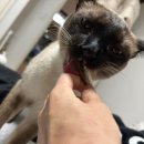 까까뭉치 이미지