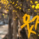 월전공원2 이미지