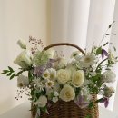 오더디자인스튜디오