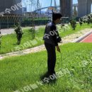 고하대로 이미지