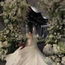 스냅치즈 | [Wedding] 아이폰 스냅 &#34;치즈앤버터&#34; 본식 촬영 후기 (합정 웨딩시그니처 트리니티홀)