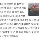 씨유 군산비응항점 | 군산 광어다운샷 고수호타고 탐사낚시 다녀왔습니다(04/16)