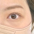 뷰티;U | 안양속눈썹펌 하인드뷰티랩 U컬 눈매맞춤 후기