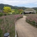 베툴라 자작나무숲 펜션 이미지