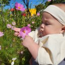 주제관 1층 화장실 이미지