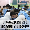 바닐라애견미용학원 이미지