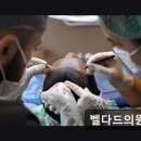 벨다드의원 이미지