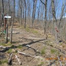 기룡산 등산로2 이미지