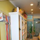 펫엘도라도 이미지