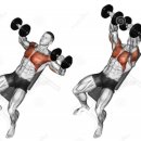 크라우드짐 이미지