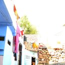 블루시티 이미지