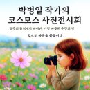 바람이지나간자리 | 가장 따뜻한 순간의 빛과 바람의 노래 &gt; ‘빛이 머무는 들판, 바람이 지나간 자리마다 피어난 코스모스...