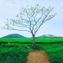 서연목장 이미지