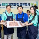 달빛동맹