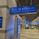 일본 후쿠오카 여행 부산항에서 배 타고 가기 티에프투어 <뉴카멜리아호> 탑승 후기 &amp; 꿀팁 공유 (1일차)
