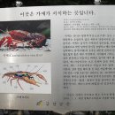 보석사 이미지