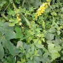 선학초등학교 이미지