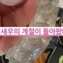 왕대박종합어시장 이미지