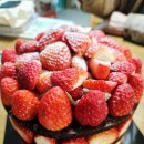 기본 | 성심당 다녀오면 10만원 기본? 빵 후기 솔직 정리