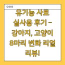 유기농 사료 실사용 후기 – 강아지, 고양이 8마리 변화 리얼 리뷰!