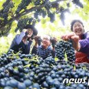 박종진 농장 이미지