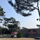 피노비스타펜션