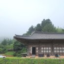 멍플 이미지