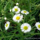 신기초등학교 이미지