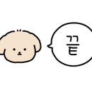 뛰노리방방먹골역점