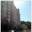 안서올림픽태권도장 이미지