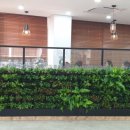 종촌동 복합커뮤니티센터 이미지