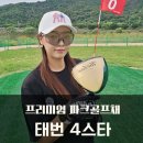 금빛크린 | 파크골프 입문! 태번 4스타 국산 파크골프채 세트 사용 후기