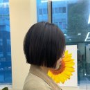 아브헤어 이미지