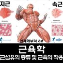 히트앤핏 이미지