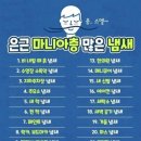 마니아 이미지