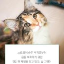 산책하는 고양이 이미지