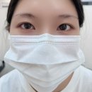 남창1길 | 울산 남창 속눈썹펌 잘하는 곳, 바비브로우에서 만나는 특별한 눈매