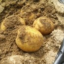 건강웰빙밥상 이미지