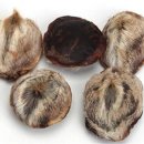 늘온한의원 이미지