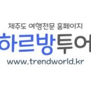 제주포인트투어 이미지